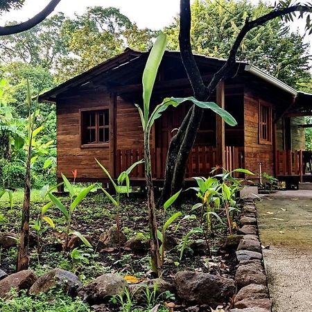 Wood Cabin - Cabana Maderas Balgue エクステリア 写真